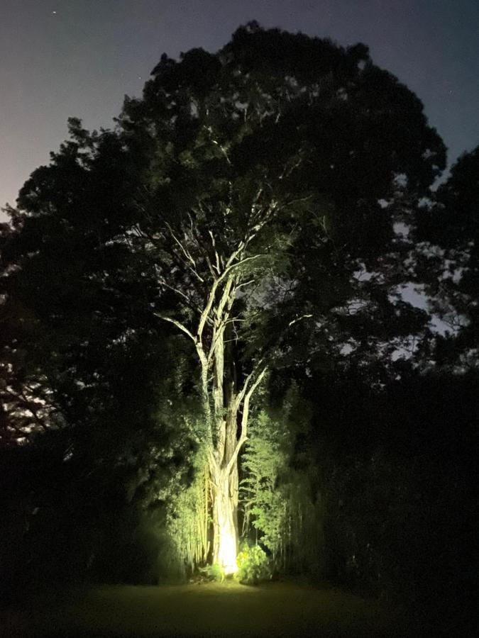Recanto Da Floresta - Casa De Campo Em Secretario Petrópolis エクステリア 写真