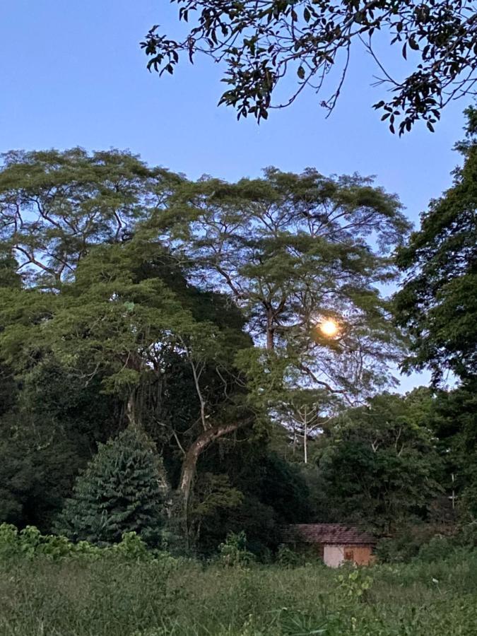 Recanto Da Floresta - Casa De Campo Em Secretario Petrópolis エクステリア 写真